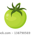 Unripe green tomato with a stem Hand drawn flat style isolated on transparent background 138790569