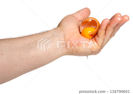 Raw Egg Yolk in Open Palm Raw Egg Yolk in Open Palm 138790601