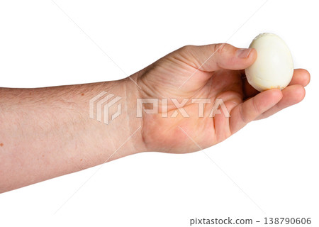Holding Peeled Boiled Egg in Palm Holding Peeled Boiled Egg in Palm 138790606