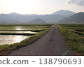 A single road through the countryside stretching far into the distance. 138790693