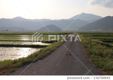 A single road through the countryside stretching far into the distance. 138790693