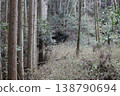 A mountain path leading to a tunnel from the Edo period. 138790694