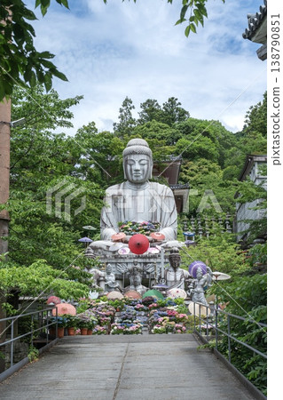 The scenery of Tsubosaka-dera Temple in Japan, adorned with a giant Buddha and hydrangeas. 138790851