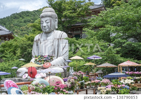 日本坪坂寺的景色,寺內有巨大的佛像和繡球花。 日本坪坂寺的景色,寺內有巨大的佛像和繡球花。 138790853