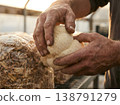 Hands Harvesting Lions Mane From Grow Block 138791279