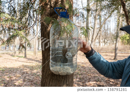 Hand filling homemade bird feeder made from plastic bottle with sunflower seeds attached to tree in park. Bird feeding, wildlife care, recycling concept, outdoor nature 138791281