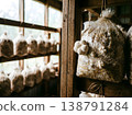 Lions Mane Pins On Hanging Grow Bags 138791284