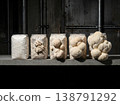 Lions Mane Growth Stages On Cultivation Blocks 138791292