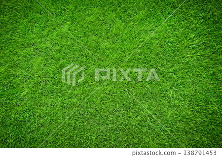 Green grass texture background top view, fresh lawn pattern with natural detail and copy space Green grass texture background top view, fresh lawn pattern with natural detail and copy space 138791453