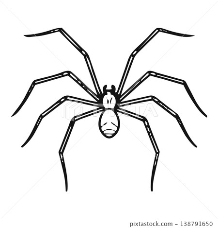 spider web on white background 138791650