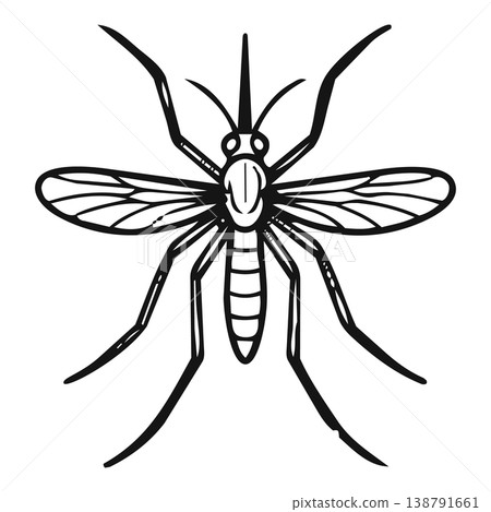 Mosquito Mosquito 138791661
