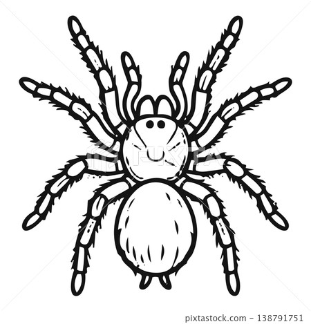black spider with spider 138791751
