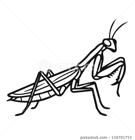 mosquito in wire carcass 138791753