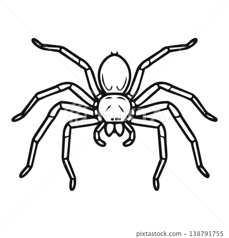 vector design of spider and spider icon 138791755