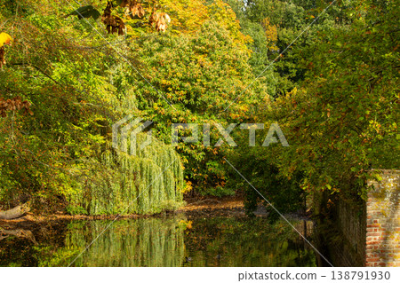 Reflections of the the trees in the water. Photo of the canal in the Park of Burgh-Haamstede in the Netherlands. Reflections of the the trees in the water. Photo of the canal in the Park of Burgh-Haamstede in the Netherlands. 138791930