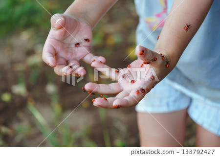 Child explores insects happily outdoors. Young child joyfully interacts with garden creatures Child explores insects happily outdoors. Young child joyfully interacts with garden creatures 138792427