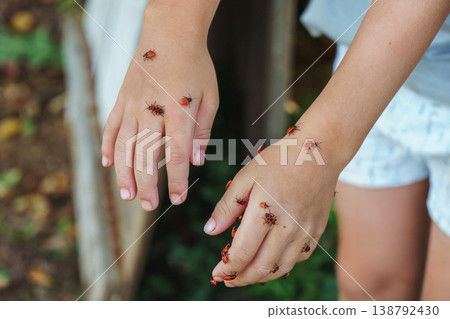 Firebugs exploring a child hands in the garden Firebugs exploring a child hands in the garden 138792430