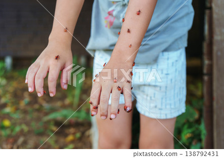 Firebugs exploring a little boy hands in the garden Firebugs exploring a little boy hands in the garden 138792431