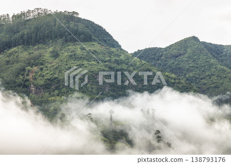 Misty Green Mountain Landscape with Lush Forest and Cloudy Sky. Mountain landscape near Nuwara Eliya in Sri Lanka. Misty Green Mountain Landscape with Lush Forest and Cloudy Sky. Mountain landscape near Nuwara Eliya in Sri Lanka. 138793176