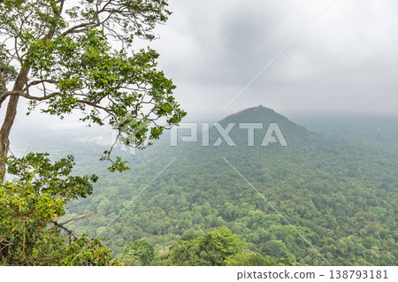 Sigiriya ancient rock fortress in Sri Lanka. Panoramic view of lush green tropical forest and distant mountain peak under an overcast sky, with foreground tree Sigiriya ancient rock fortress in Sri Lanka. Panoramic view of lush green tropical forest and distant mountain peak under an overcast sky, with foreground tree 138793181