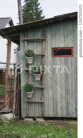 Weathered garden shed with pale wood boards, rustic ladder, white hanging planters and green foliage. Quiet backyard atmosphere Weathered garden shed with pale wood boards, rustic ladder, white hanging planters and green foliage. Quiet backyard atmosphere 138793925