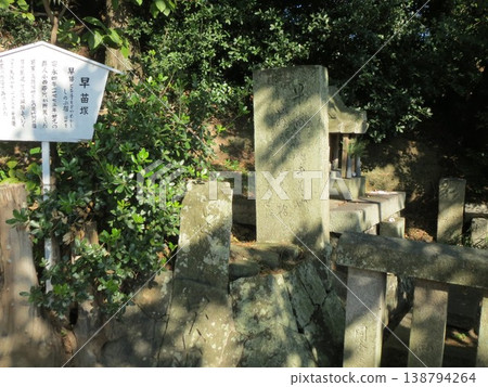2014, Kagawa, Kanonji, Hachiman, Scenery, Shrine, Kotobiki Hachimangu Shrine, Part 33 138794264
