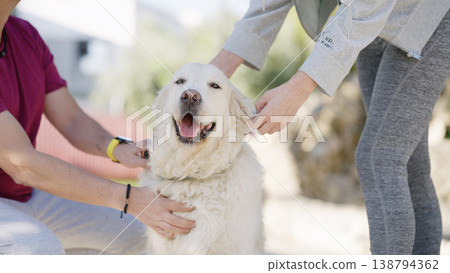Happy golden retriever dog enjoying petting from two people 138794362