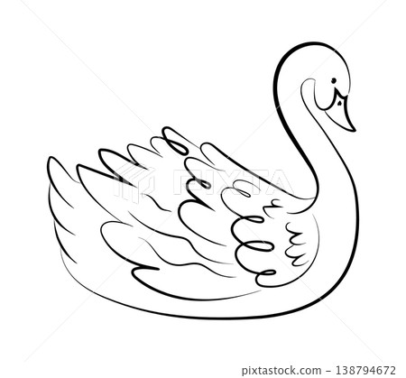 Swan Swimming Line Art Swan Swimming Line Art 138794672