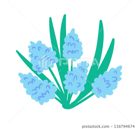GrapeHyacinth Bouquet Botanical Cartoon GrapeHyacinth Bouquet Botanical Cartoon 138794674