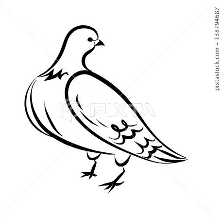 Pigeon Standing Line Art 138794687