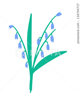Bluebell Stem Botanical Clipart Bluebell Stem Botanical Clipart 138794737