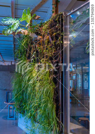 Vertical Garden Wall with Hanging Plants in Museum. 138794869