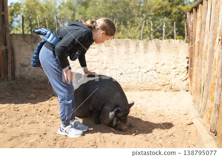 Young girl petting pot-bellied pig at farm Young girl petting pot-bellied pig at farm 138795077