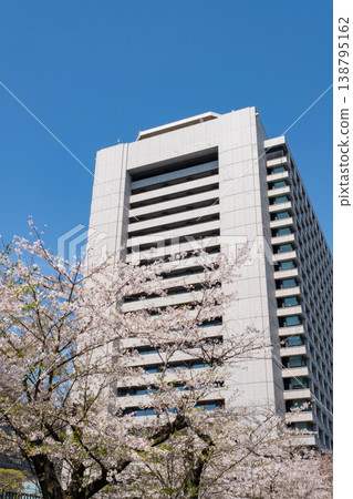 Cherry blossoms in full bloom and fresh greenery around the Ministry of Internal Affairs and Communications Cherry blossoms in full bloom and fresh greenery around the Ministry of Internal Affairs and Communications 138795162