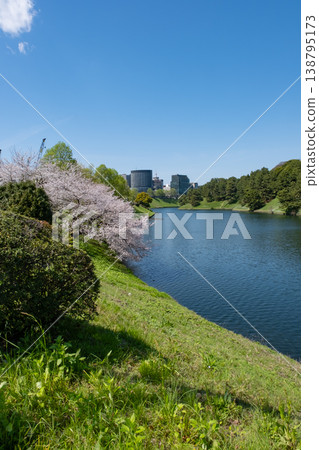 日比谷護城河兩岸櫻花盛開,護城河景色宜人。 日比谷護城河兩岸櫻花盛開,護城河景色宜人。 138795173
