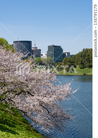 Cherry blossoms blooming along Hibiya Moat and the scenery of the moat 138795179