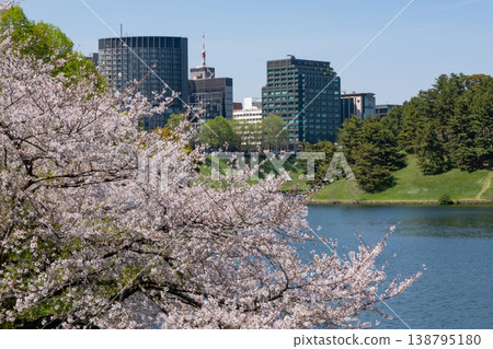 日比谷護城河兩岸櫻花盛開,護城河景色宜人。 日比谷護城河兩岸櫻花盛開,護城河景色宜人。 138795180