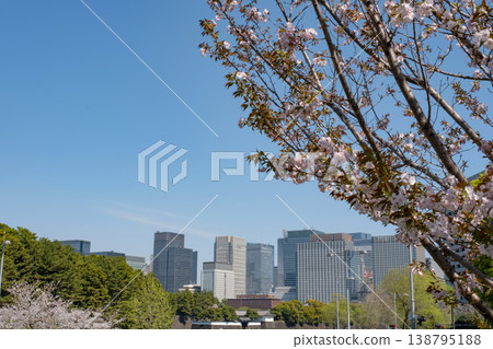 Cherry blossoms and the skyscrapers of Marunouchi viewed from beyond Sakuradamon Gate. Cherry blossoms and the skyscrapers of Marunouchi viewed from beyond Sakuradamon Gate. 138795188