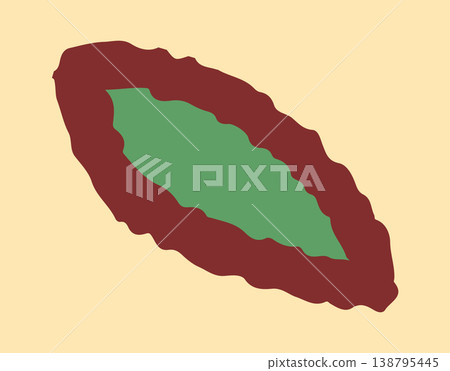 Cacao Pod Cross Section Abstract Style 138795445