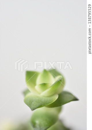 玉器廠 玉器廠 138795529