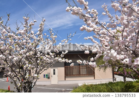 京都嵐山 京都嵐山 138795533