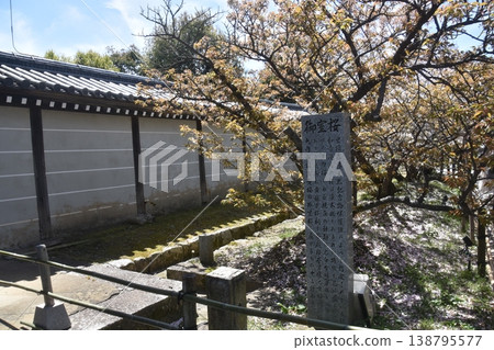 Kyoto · Ninna-ji 138795577