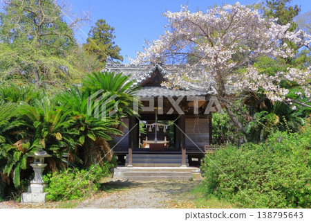 杵築神社(杵築市) 杵築神社(杵築市) 138795643