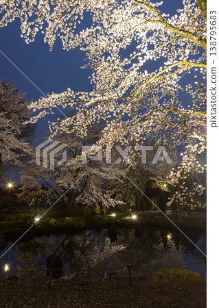 中之條花園夜間櫻花燈光秀 中之條花園夜間櫻花燈光秀 138795683