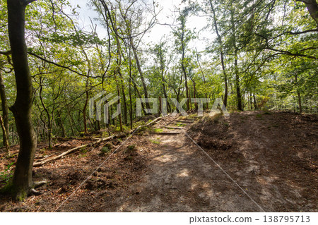 Nationaal Park de Hoge Veluwe Nationaal Park de Hoge Veluwe 138795713
