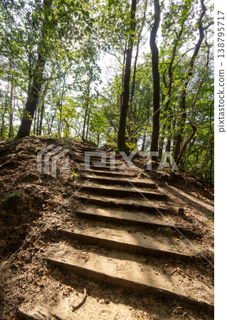 Nationaal Park de Hoge Veluwe 138795717