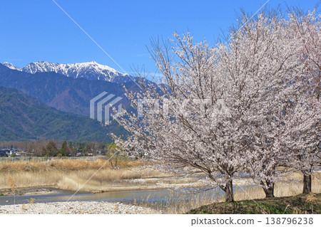 Azumino in spring when cherry blossoms bloom Azumino in spring when cherry blossoms bloom 138796238