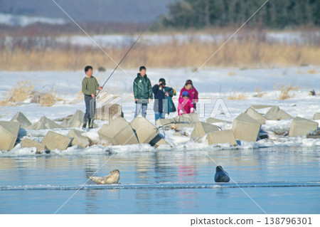 一隻斑海豹和一位漁夫（北海道豐所町） 138796301