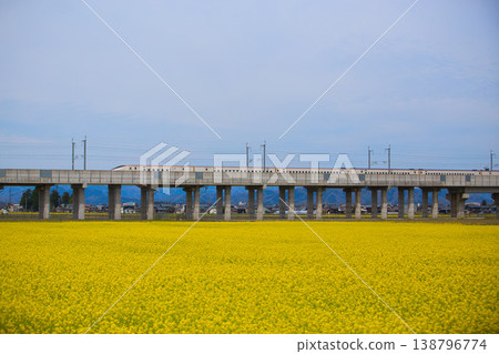 Hokuriku Shinkansen and Nanohana Hokuriku Shinkansen and Nanohana 138796774