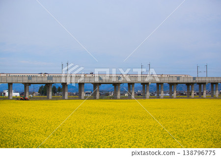 Hokuriku Shinkansen and Nanohana Hokuriku Shinkansen and Nanohana 138796775